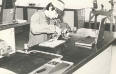 6. k&eacute;p NN