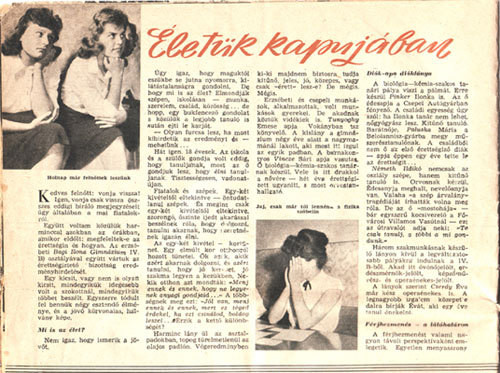 XII. évfolyam 25. száma