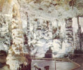 Barlangf&uuml;rd&otilde;
